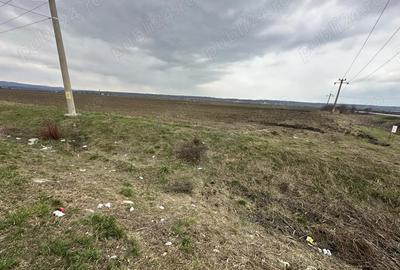 Teren de 24100 mp, în Adânca - 1