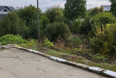 Spațiu comercial, în Central - 2