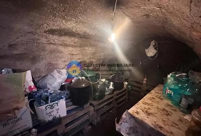 Casă cu 3 camere cu Teren 6817 Mp în Zănești - 4