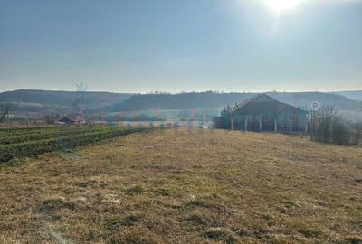 Teren Construcții intravilan de 1577 mp, în Hidișelu de Sus - 2