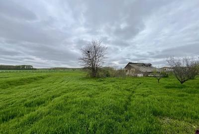 Spațiu comercial, în Curcani - 2