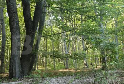 Teren de 524 mp, în Făget