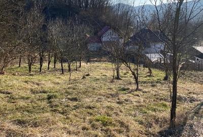 Casă individuală cu 2 camere cu Teren 2519 Mp în Govora - 8