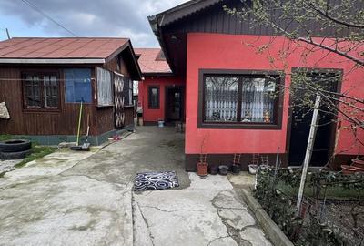Casă cu 2 camere în Copaciu - 6