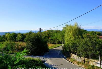 BUDESTI, TEREN 1000 MP, PRIVELISTE MINUNATA - 9