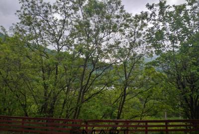 Teren de 7432 mp, în Săsciori - 5