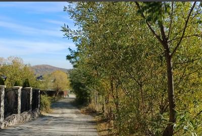 Teren intravilan zona Bran,Tohanita - 10