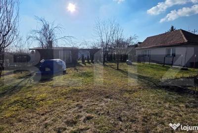 Casă cu 3 camere cu Teren 3000 Mp în Central