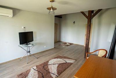 Spațiu comercial, de 500 mp, în Divici - 23