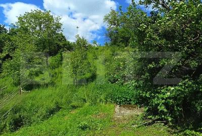 Casă cu 4 camere cu Teren 20 Mp în Central - 10