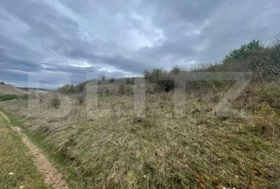 Teren de 2800 mp, în Drâmbar - 2