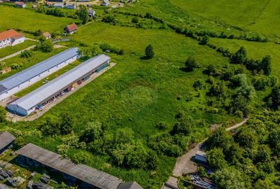 Teren de inchiriat9.335 mp, imprejmuit, camere TELIU... - 7