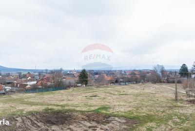 Spațiu comercial, în Crizbav