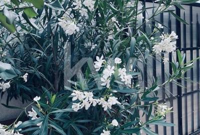 Casa individuala cu 5 camere, de vanzare, in Brasov, zona Bartolomeu! - 6