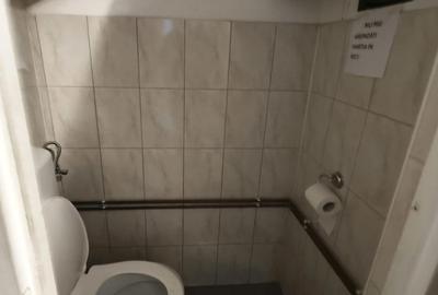 Spațiu comercial, de 100 mp, în Lugojului - 2