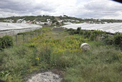 Casa de vanzare cu posibilitate de privatizare - 7