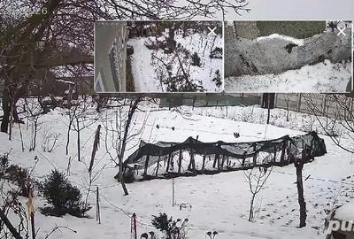 Casă cu Teren 1300 Mp în Gogoșari - 4