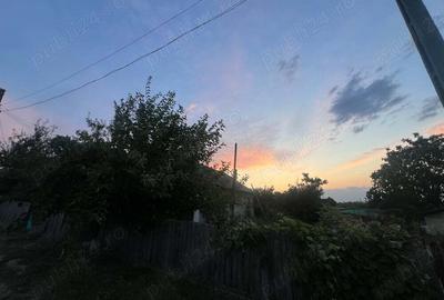 Casa batraneasca + teren Casa batraneasca + teren - 8