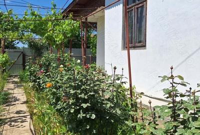 Vand casa de caramida cu teren comuna Stancuta jud Braila - 5