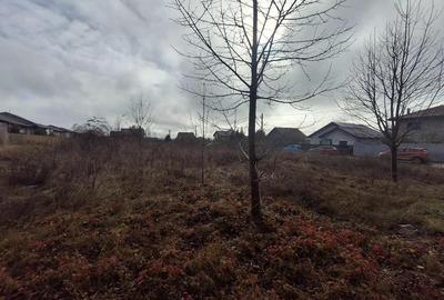 Teren Valea Ursului, 541mp, 60euro mp neg - 6