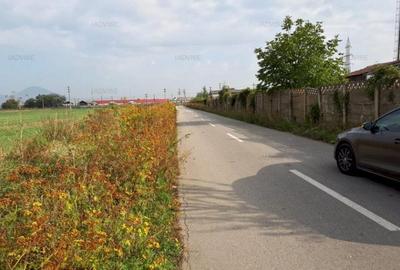 Teren deosebit Rasnov - 2