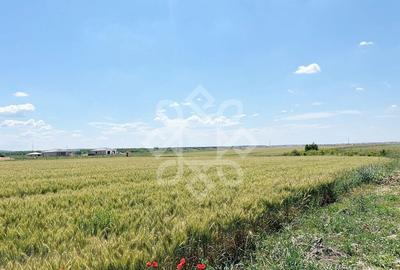 Teren intravilan 2 hectare zona Fan Courier - 4