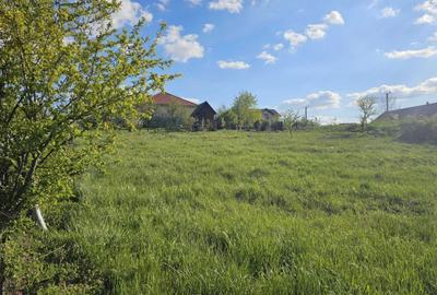 Spațiu comercial, în Spitalul Județean - 4