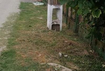 Casă cu 2 camere în Crivina - 2