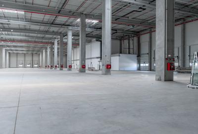 Depozit Hala Autorizata ISU 600 mp -15000 mp Depozit Hala Autorizata ISU 600 mp -15000 mp - 8