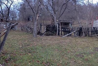 Teren de 2000 mp, în Ocina de Sus - 4