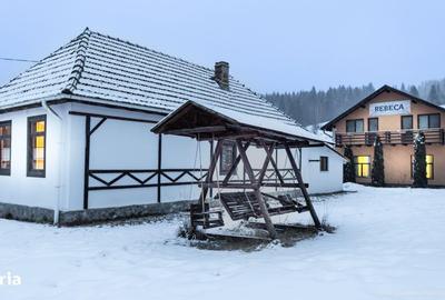 Spațiu comercial, de 600 mp, în Palanca - 11