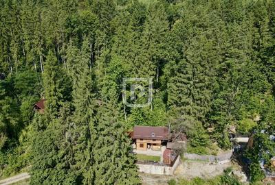 Casa/Cabana pe malul Lacului Bicaz, ciubar&sauna - 2