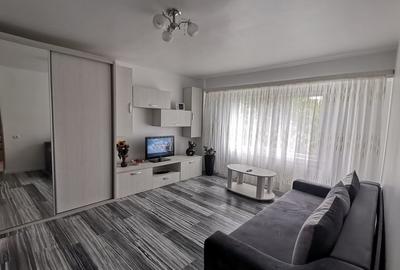 Studio decomandat, mobilat, utilat nou contract ANAF - 1