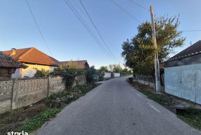 Casă cu 3 camere cu Teren 4820 Mp în Telești - 5