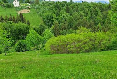 Spațiu comercial, în Peștera - 1