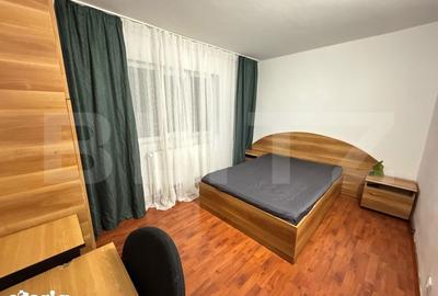 Apartament cu 3 camere semidecomandat, mobilat în Brazda lui Novac - 9