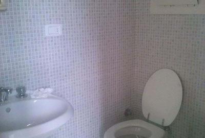 Apartament cu 3 camere nedecomandat în Vale - 2