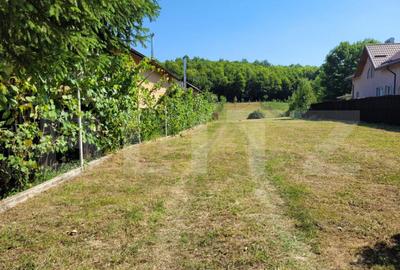 Teren intravilan, 1.845 mp, deschidere 13,86 m Ognitei - 5