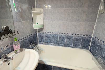 Apartament cu 3 camere decomandat, mobilat în Apărătorii Patriei - 13