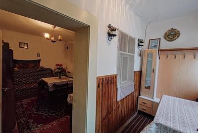 Casa , singur in curte la intrarea in ZIZIN - 5