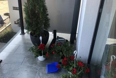 Apartament nedecomandat în Central - 6