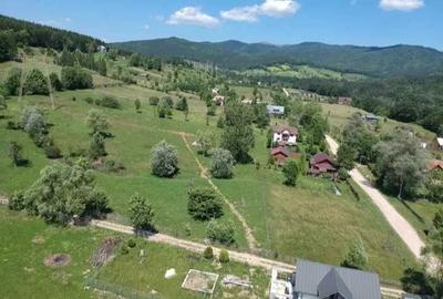 Spațiu comercial, în Trăisteni - 3