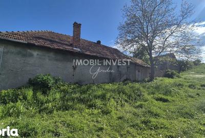 Casă cu 3 camere cu Teren 3500 Mp în Central