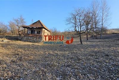 Teren intravilan de vanzare in Ampoita 1365 mp - 2