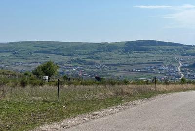 Teren extravilan de vanzare, 5800 mp, zona Chinteni - 2