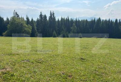 Teren de 20000 mp, în Central - 6