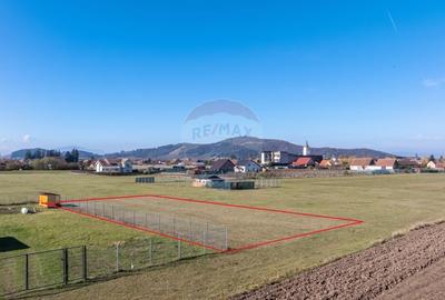 Teren Harman, Strada Henri Coanda, 1000mp Teren Harman, Strada Henri Coanda, 1000mp - 12