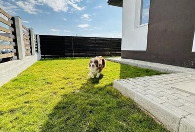 Vila - 4 Camere - DORMITOR PE PARTER - TEREN 502 Mp - Finalizata - Com. Berceni - 2
