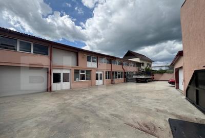 Spatiu comercial de inchiriat - 20