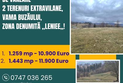 Teren extravilan de 2702 mp, în Vama Buzăului - 1